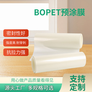 BOPET�A�TĤ������ѱ��oĤ�����zĤ�YƷ�и�ճ�ȸ�Ĥș�и�Ĥ