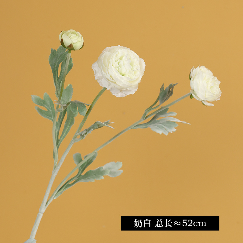 5237 # 우유 화이트