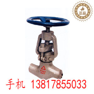 高温高压电站截止阀蒸汽导热油截止阀DN50 100 150