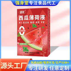 スイカミント液体果物と野菜ジューススイカ水冷抽出サマードリンクライブブロードキャスト同じスタイル在庫あり