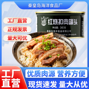 ������340g�t��������^�i����^�_�޼�ʳ����Ұ������ʳƷ4003�S