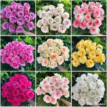 �r�����r���ػ������õ��Yֱ�l��ˮ�ٺ�ֱ�����]�滨���տ��л�