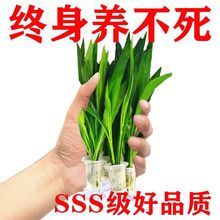 ������˾Ź�ʹ�����ˮ�b��쾰��ֲ�����~��ˮ�|����