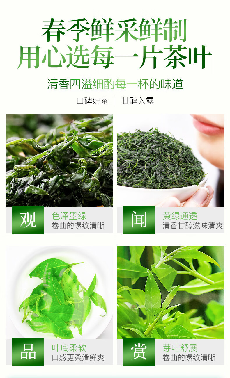Small Leaf Kuding Tea Ku Ding Cha Loose Buds 10g Sample Tin Traditional Wellness Brew in use