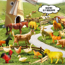 2025�¿ͯ����������к�����ģ�ͷ��������СŮ��3��6�q�Y��