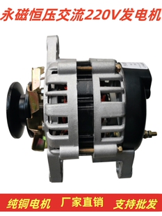 ��ƷƤ��݆ʽ48V220v800W���Őa������С�ͼ��~�����ý����l늙C