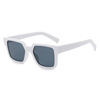 Classic universal trend sunglasses, European style, suitable for import