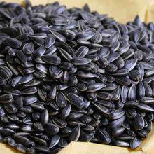 黑珍珠油葵瓜子500g2斤3斤五香油葵炒熟新鮮毛磕生熟瓜子批發