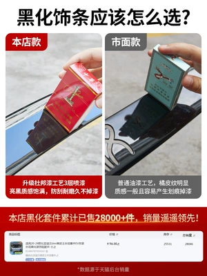 Automobile anti-insect net Sticker Accessories
