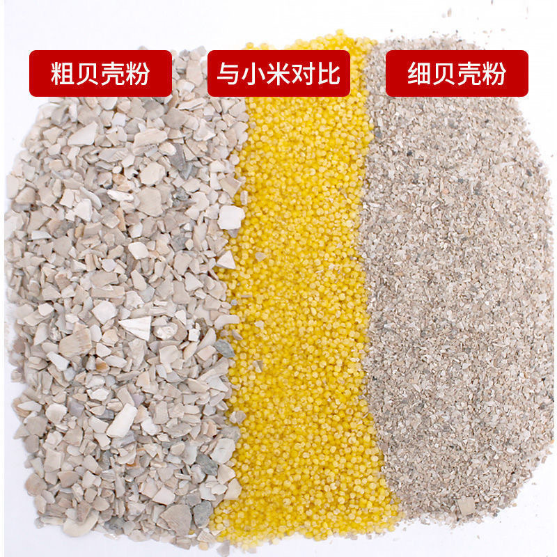 O1CN01dimkja1JNpqSZNKBo_!!2219583951017-