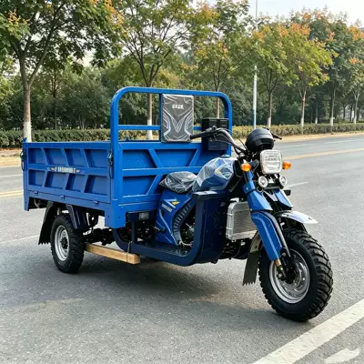 Sərnişin üçtəkərli motosikllar Cart with Canopy, Strong Power
