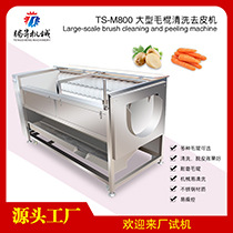 TS-M800-毛棍清洗机-主图(01).jpg