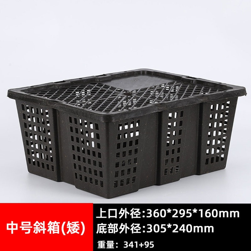 加厚塑料框带盖鸽子兔子宠物活禽运输筐快递打包周转箱筐厂家批发|undefined