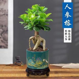 �˅���С�~�Ř������辰�҃��ֲ̨�����ԾGֲ�ع����Ϙ����B�ļ�