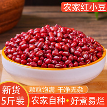 �¼t��5��|���tС���r���ԷN�ǳ�С�������W�t��޲��������s�Z