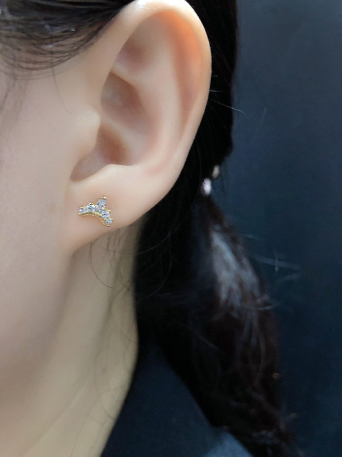 Fashion Crown Sterling Silver Inlay Zircon Ear Studs 1 Pair