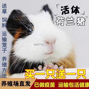 ���m����������������̺��i���m�i���m�������ò�����ﷱֳ