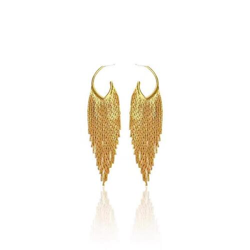 Dongju niche s925 silver needle Korean geometric fringe earrings fashionable temperament earrings for women matchy-matchy earring