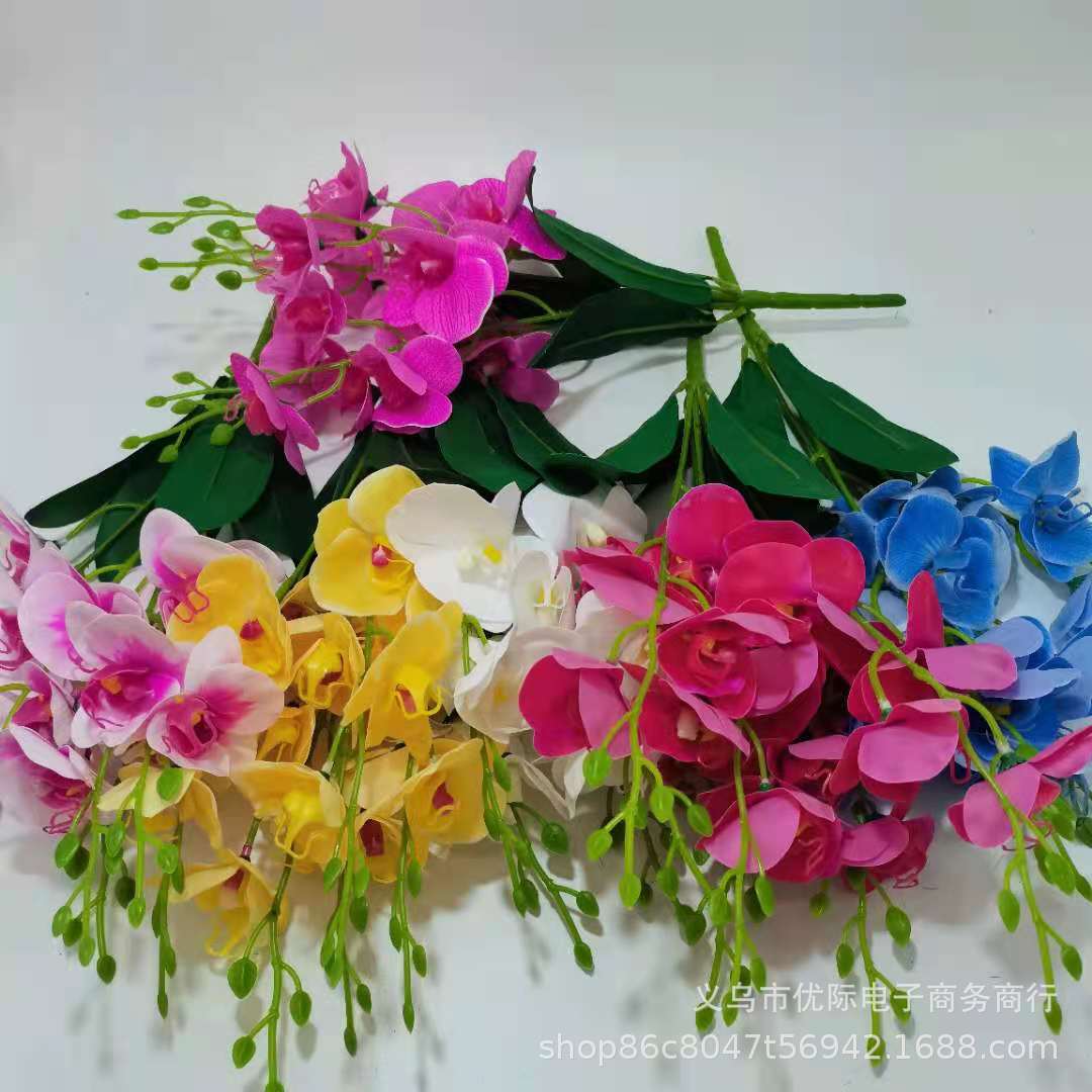 2ace3d29f729a5cac1ad9107f173c0