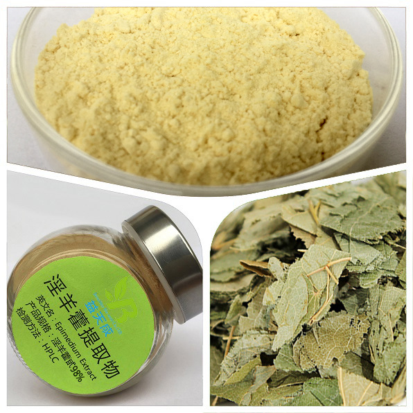 淫羊藿提取物 淫羊藿单甙 10% 98%批发零售