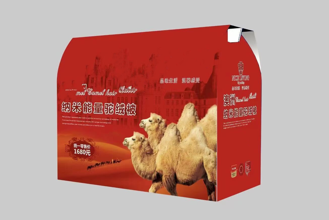 QQ图片20230106212056_副本_副本