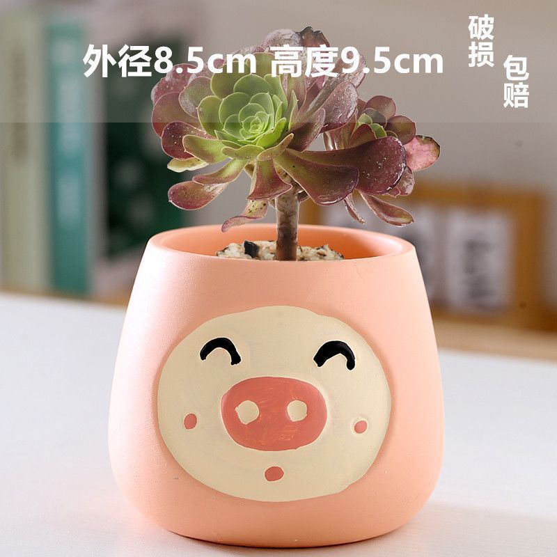 Macetas de cerámica para suculentas con diseño de animales de dibujos animados, pequeño tamaño, para estante de flores en casa, suministro al por mayor