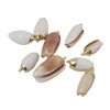 New Phnom Penh Herrot earrings Golden Conch shell Earrings Accessories Beach Earrings Shell Jewelry Accessories