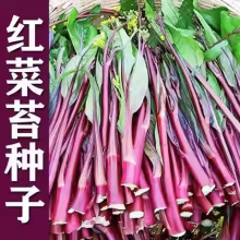 ߮ațNľŲ߲˷NӼ̨ͥNֲļ