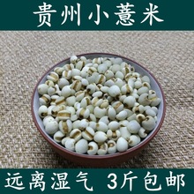 新货小薏米仁 薏米薏仁米 贵州农家小薏米粗粮新鲜苡米仁500g杂粮