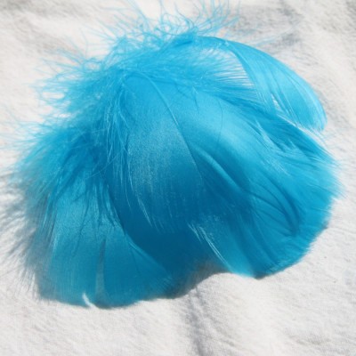 레이크 블루 (100 루트 배치)