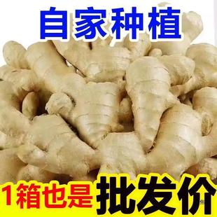 ɽ�|���Ͻ�����9�����r�S�������F���ӽ��۽��r���۽������]