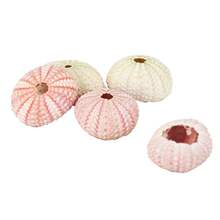 20���ۺ�đ�� ��đ�˱��՚��P�滨���b�ؐ�����ݚ���ˇƷdiy