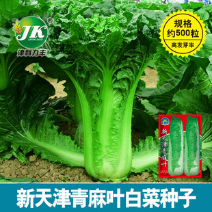 �S�����l��������~�ײ˷N����Ʒ�N���ʹ�ײ˷N���＾�NֱֲͲ��