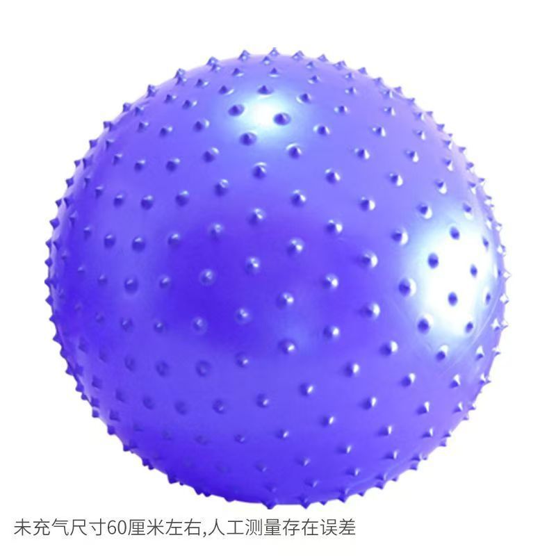 颗粒大龙球（紫色65cm）+球塞+气筒