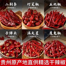 �F�����x���خa΢�����\�����G�l����������ʯ���t��������������
