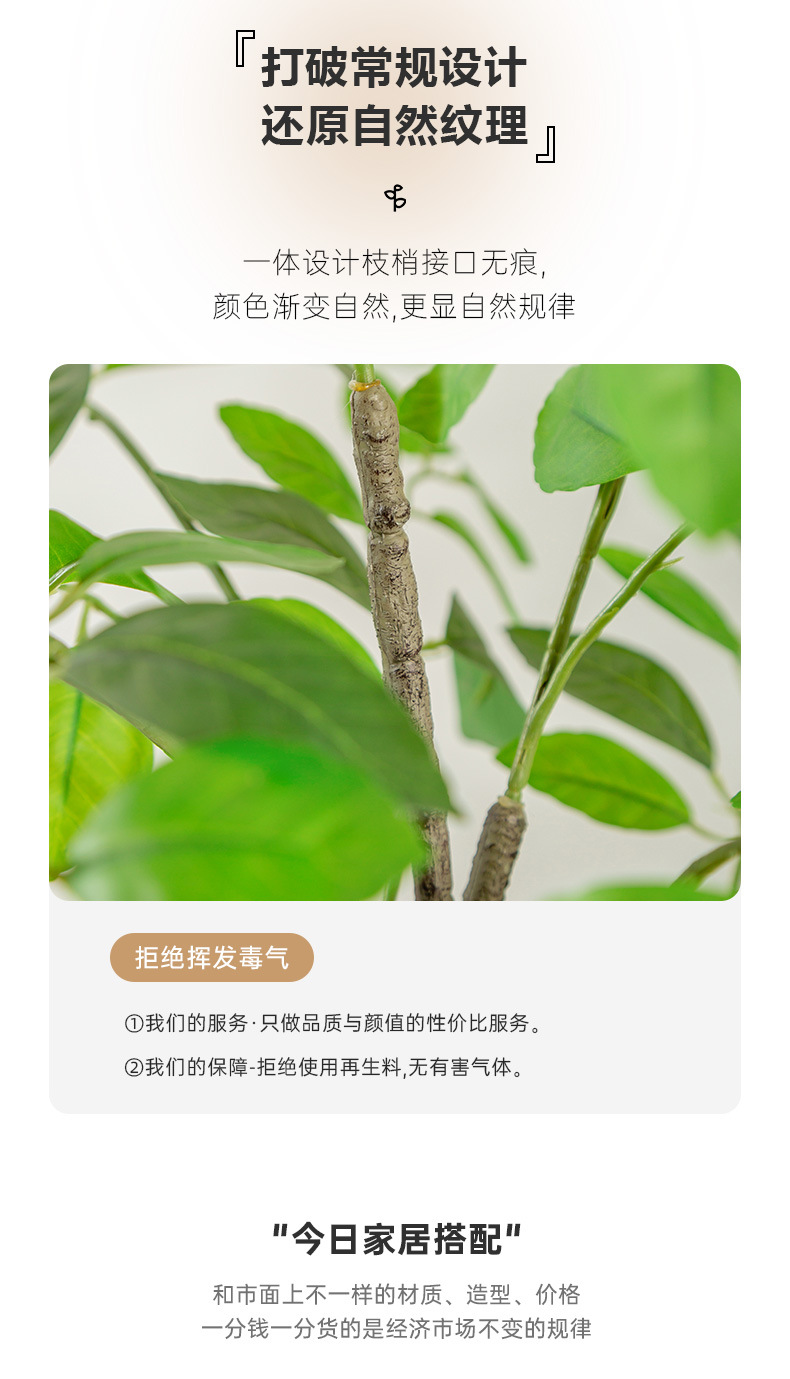 阿里_05