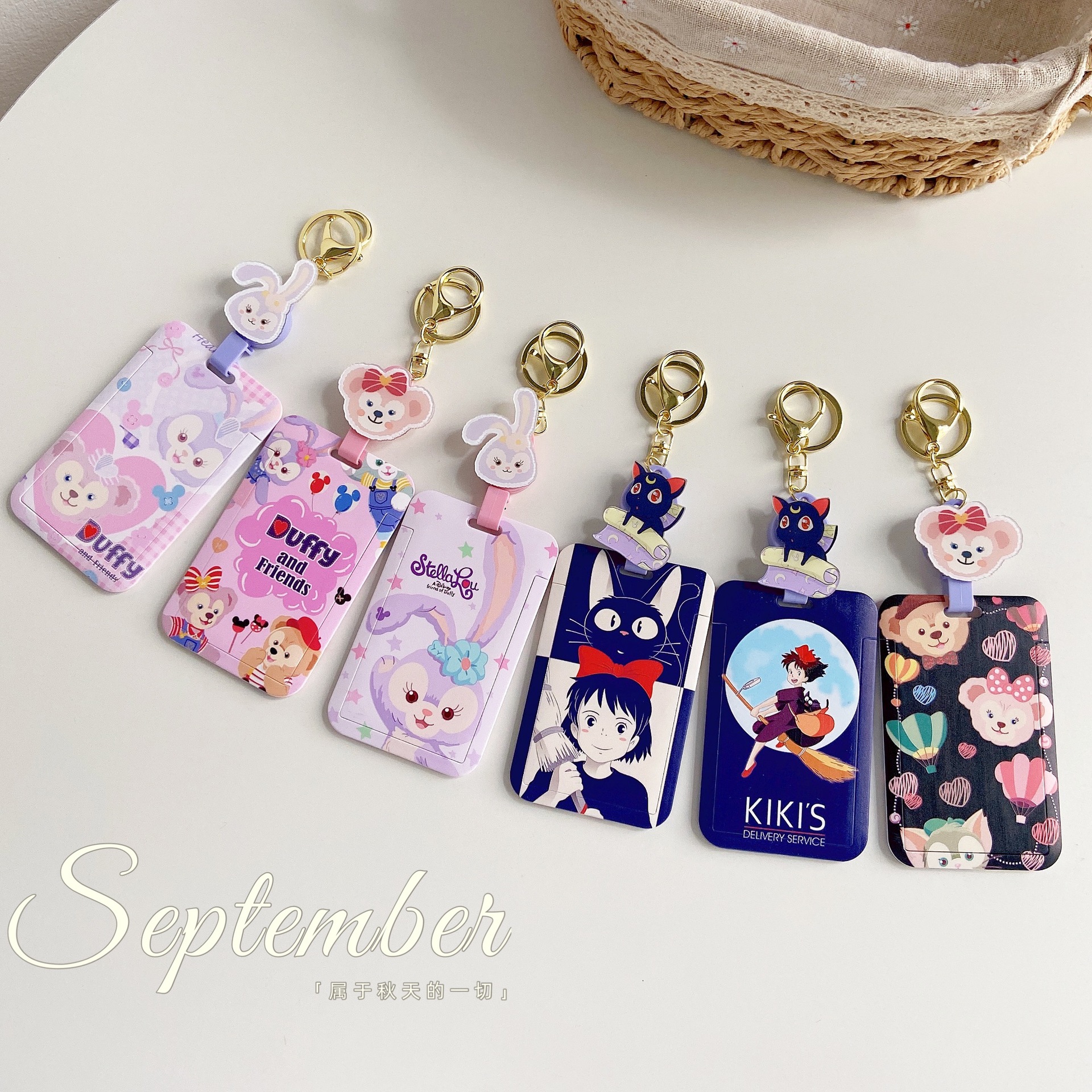 Travel card case for students