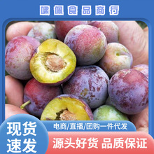 �Ĵ���t��Ó���������r��t��������Ĵ�t���߅�t���´������l