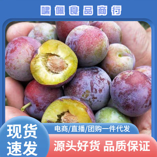 �Ĵ���t��Ó���������r��t��������Ĵ�t���߅�t���´������l