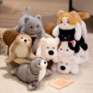 ������﹫�п羳ë�q���ſ��؈����żС�������᲼���ރ�ͯ�Y��