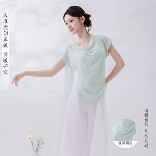古典舞练功服女新款飘逸荡领飘片短袖上衣中国舞身韵纱衣舞蹈服