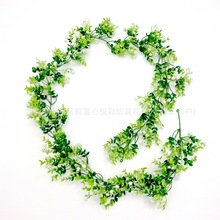 亚马逊尤加利满天星金钱草藤条 北欧家居装饰仿真塑料花藤叶藤条