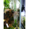 [2.5cm左右秘鲁10条装]
