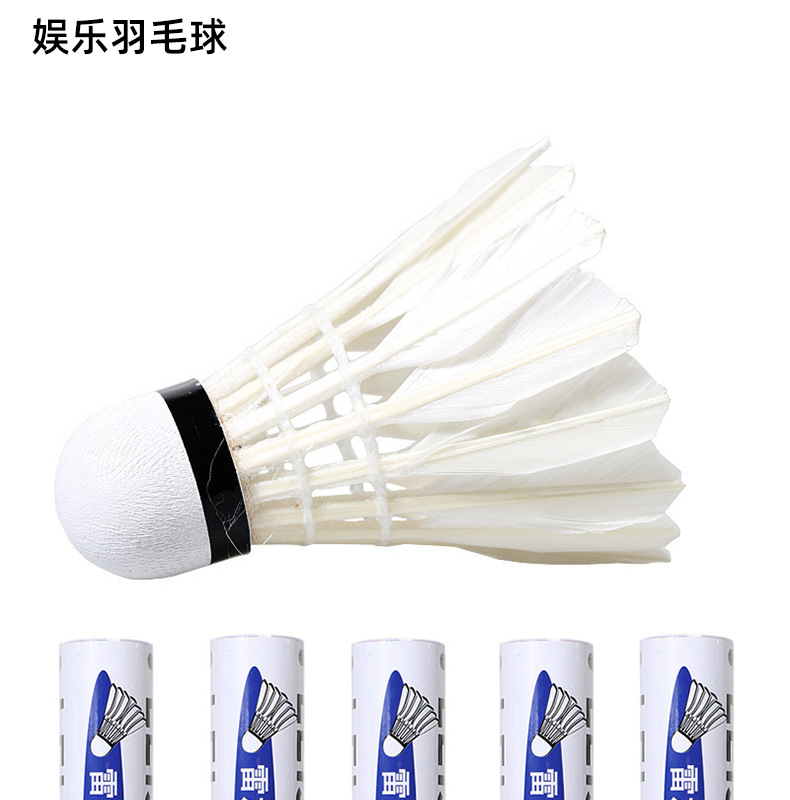 20210629_102717_022_01