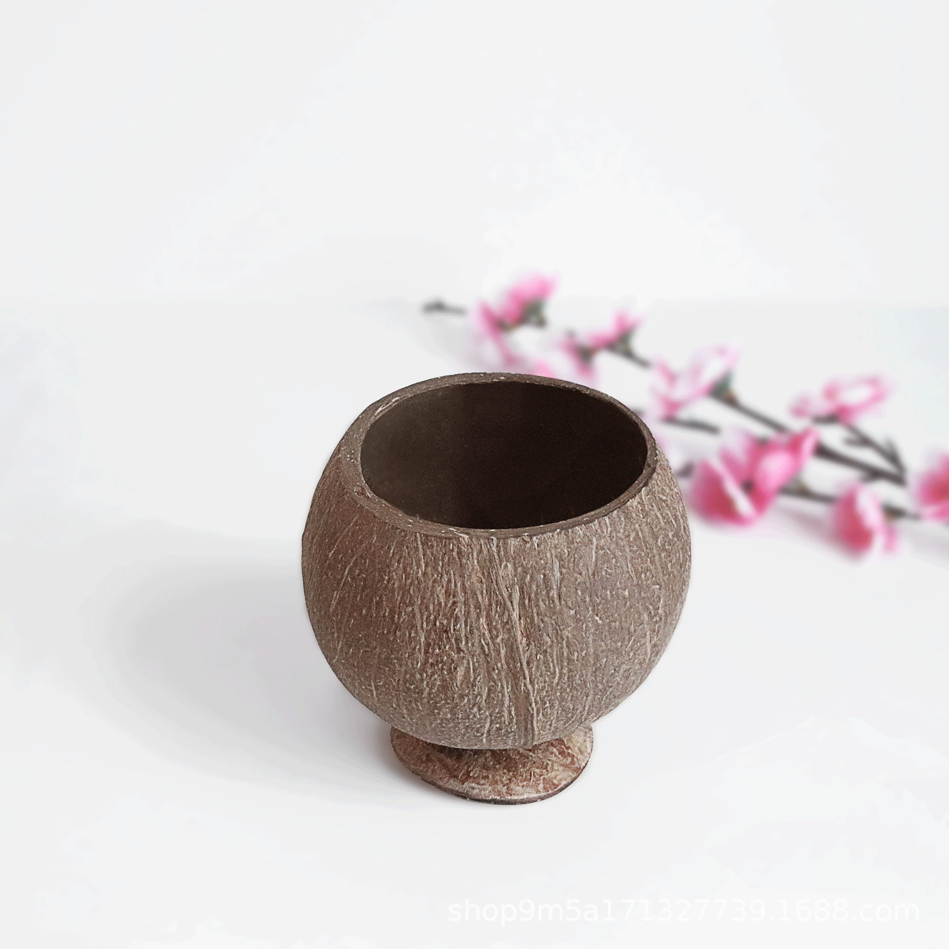 Natural coconut shell creative dessert salad bowl tableware storage old coconut shell disc dry fruit plate handmade coconut bowl