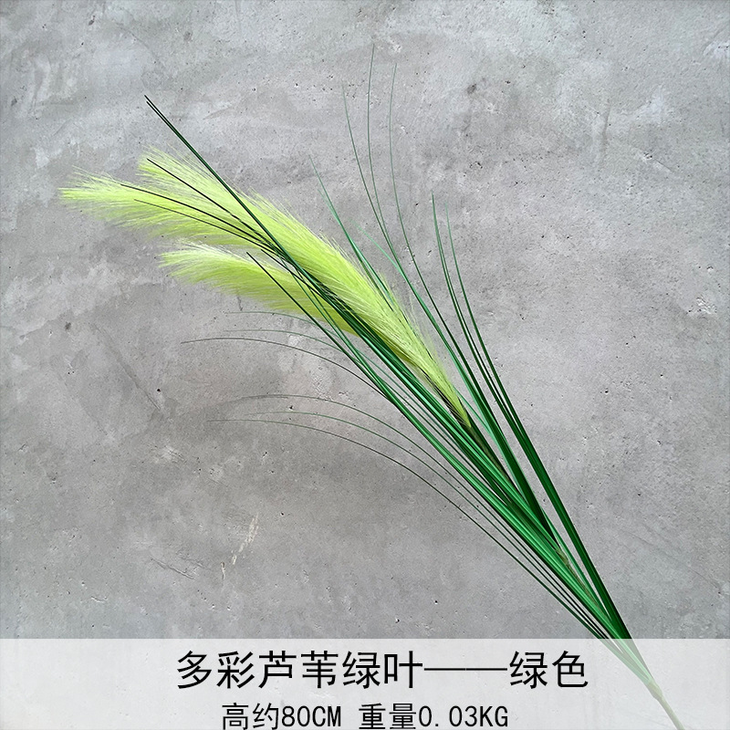 Caña hierba simulación de flores Cai Guoqiang Fuegos artificiales Caña Fuegos artificiales diurnos Fuegos artificiales diurnos Caña Fuegos artificiales