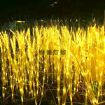 Светодиодная пшеница пшеница свет камыш пейзаж свет свет водонепроницаемый на открытом воздухе декоративный свет подключать газон свет