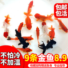 ���~�^�p�~���~���B�ͻ�С���~�m�۵�β�Q피t���{�\���t�ݽ��~��