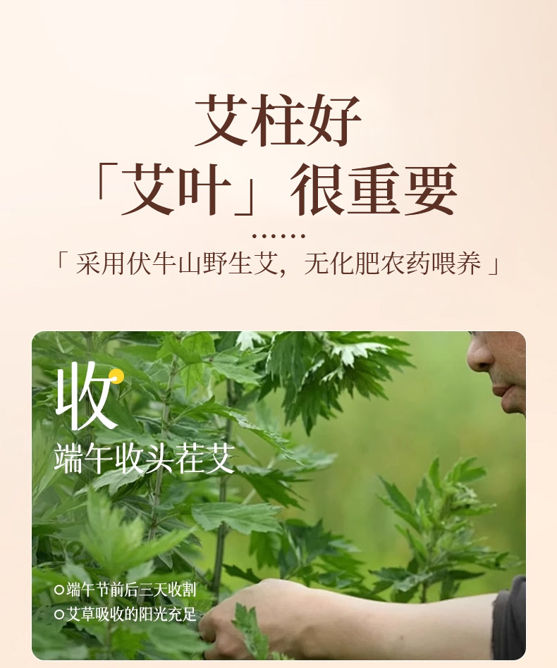 Moxa Sticks Ai Zhu 纯艾柱 Artemisia argyi Moxibustion Rolls for Whole Body Warming 54 Count Box quality and texture