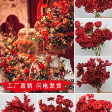 10֦�b�tɫϵ���Ļ����Ż�·����ˇ�bٻ��Ƽtɫ��c�b�